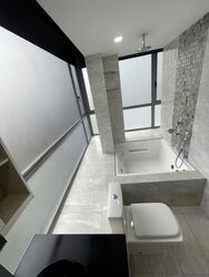 Angullia Park Residences @ Orchard (D10), Apartment #538017771